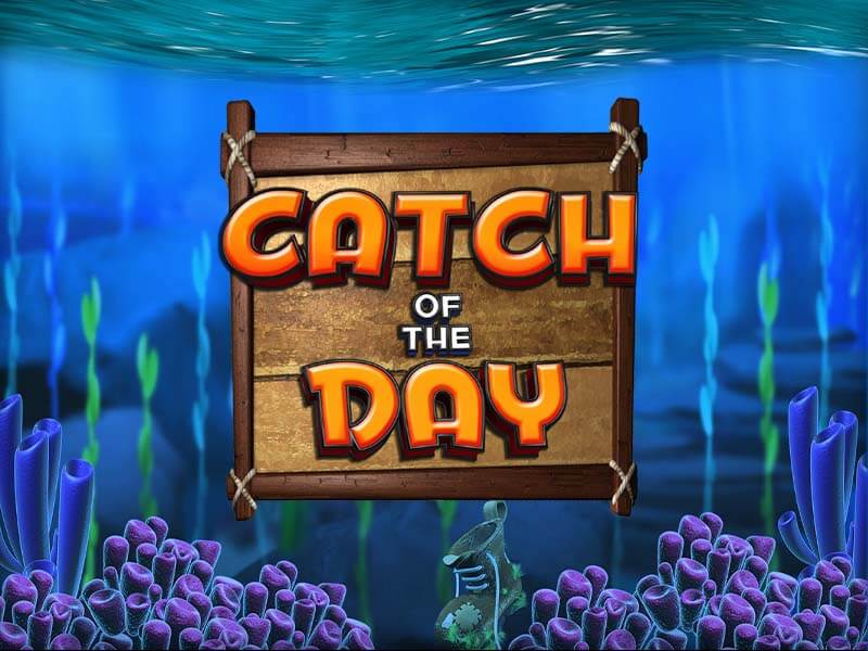 592bet Catch of the Day